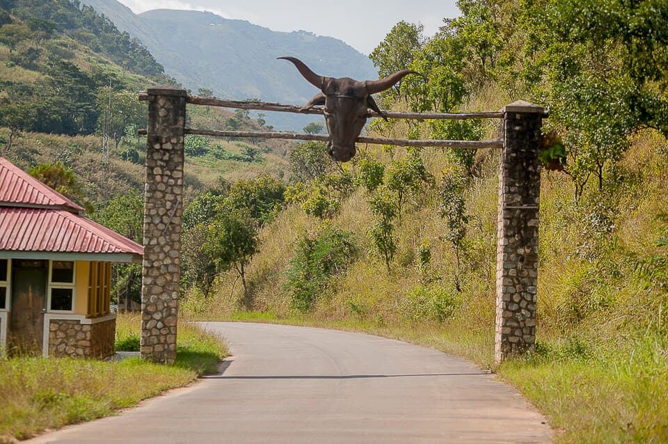 Wildlife & Safari