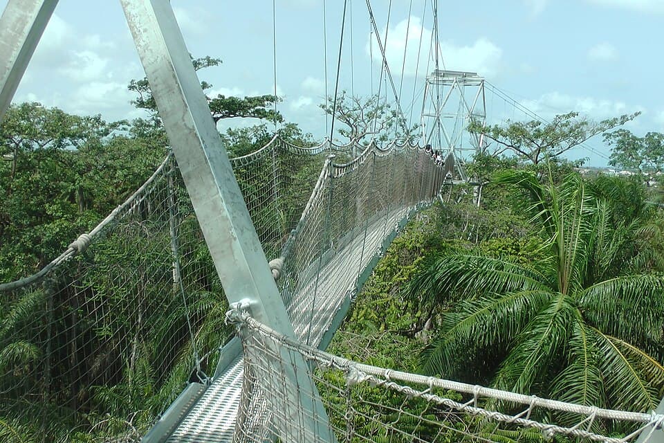 Canopy walkway at Lekki Conservation Centre